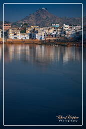 Lake, Pushkar (1421)
