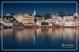 Lake, Pushkar (1431)