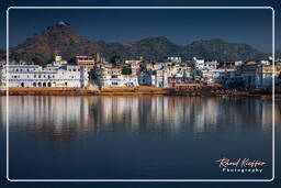 Lake, Pushkar (1496)