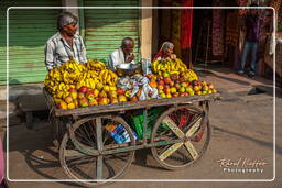 Pushkar (1544) Old Pushkar