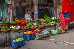 Pushkar (1623) Viejo Pushkar