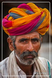 Pushkar Camel Fair (Kartik Mela), Pushkar (254)