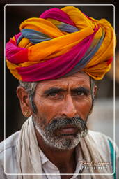 Pushkar (254) Feria de camellos de Pushkar (Kartik Mela)