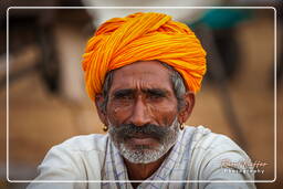 Pushkar Camel Fair (Kartik Mela), Pushkar (259)
