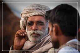 Pushkar Camel Fair (Kartik Mela), Pushkar (319)