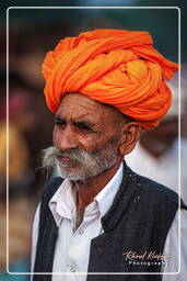 Pushkar Camel Fair (Kartik Mela), Pushkar (331)