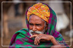 Pushkar (337) Feira de camelos de Pushkar (Kartik Mela)