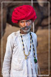 Pushkar (353) Fiera dei cammelli di Pushkar (Kartik Mela)