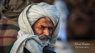Pushkar, Pushkar Camel Fair (Kartik Mela), India