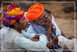 Pushkar (396) Feria de camellos de Pushkar (Kartik Mela)