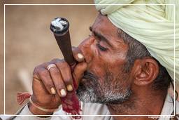 Pushkar (398) Foire aux chameaux de Pushkar (Kartik Mela)