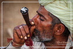 Pushkar (398) Feira de camelos de Pushkar (Kartik Mela)