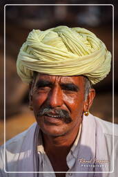 Pushkar Camel Fair (Kartik Mela), Pushkar (400)