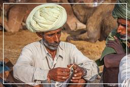 Pushkar (403) Foire aux chameaux de Pushkar (Kartik Mela)