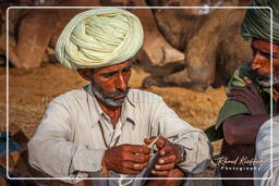 Pushkar (403) Feria de camellos de Pushkar (Kartik Mela)