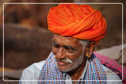 Pushkar Camel Fair (Kartik Mela), Pushkar (404)