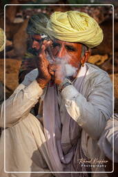 Pushkar Camel Fair (Kartik Mela), Pushkar (405)