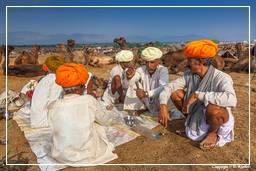 Pushkar (408) Foire aux chameaux de Pushkar (Kartik Mela)