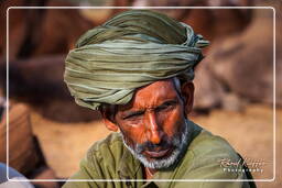 Pushkar Camel Fair (Kartik Mela), Pushkar (412)