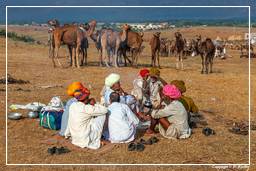 Pushkar (421) Fiera dei cammelli di Pushkar (Kartik Mela)