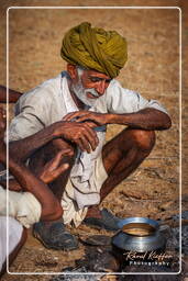 Pushkar Camel Fair (Kartik Mela), Pushkar (432)