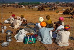 Pushkar (435) Feira de camelos de Pushkar (Kartik Mela)