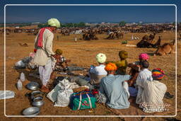 Pushkar (437) Feria de camellos de Pushkar (Kartik Mela)