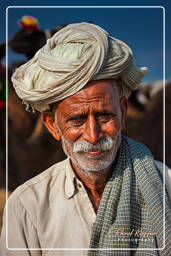 Pushkar (473) Pushkar Camel Fair (Kartik Mela)