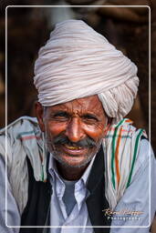 Pushkar Camel Fair (Kartik Mela), Pushkar (509)