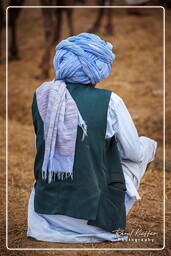 Pushkar Camel Fair (Kartik Mela), Pushkar (555)
