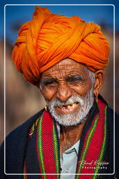 Pushkar (649) Pushkar Camel Fair (Kartik Mela)