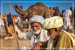 Pushkar (653) Feira de camelos de Pushkar (Kartik Mela)