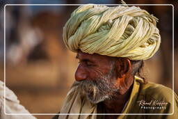 Pushkar Camel Fair (Kartik Mela), Pushkar (656)