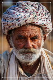 Pushkar Camel Fair (Kartik Mela), Pushkar (660)