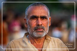 Pushkar Camel Fair (Kartik Mela), Pushkar (722)