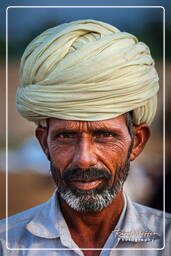 Pushkar Camel Fair (Kartik Mela), Pushkar (723)