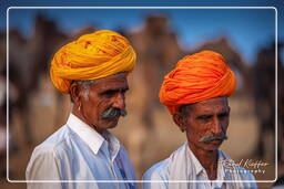 Pushkar (944) Fiera dei cammelli di Pushkar (Kartik Mela)