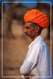 Pushkar (947) Fiera dei cammelli di Pushkar (Kartik Mela)