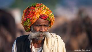 Pushkar (993) Foire aux chameaux de Pushkar (Kartik Mela)