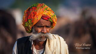 Pushkar (993) Fiera dei cammelli di Pushkar (Kartik Mela)