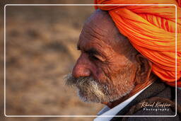 Pushkar Camel Fair (Kartik Mela), Pushkar (997)