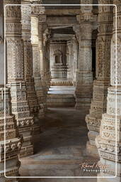 Chaturmukha Dharana Vihara, Ranakpur (32)