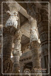 Chaturmukha Dharana Vihara, Ranakpur (138)
