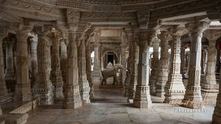 Ranakpur (163) Chaturmukha Dharana Vihara