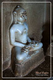 Chaturmukha Dharana Vihara, Ranakpur (222)