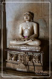 Chaturmukha Dharana Vihara, Ranakpur (226)