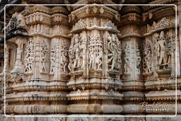 Chaturmukha Dharana Vihara, Ranakpur (234)
