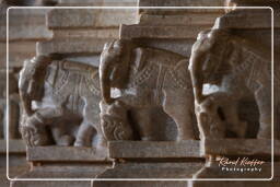 Chaturmukha Dharana Vihara, Ranakpur (573)