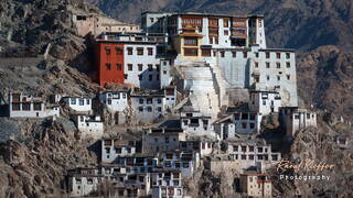 Spituk, India