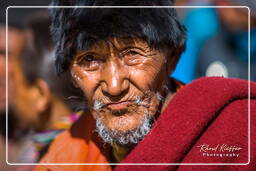 Stok (80) Stok Guru Tsechu Festival